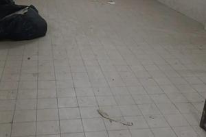 Fitti aree deposito