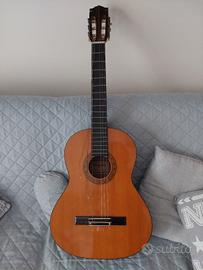 Chitarra Kingstone con custodia