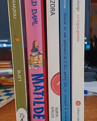 Lotto 5 libri per ragazzi