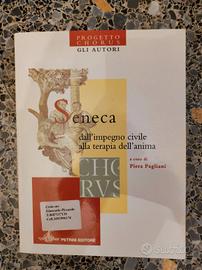 Seneca dall'impegno civile alla terapia dell'anima