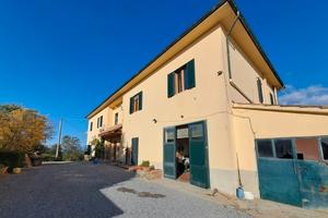 Azienda con vigneto Casale e Cantina Vinci
