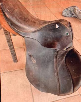 Sella da equitazione