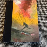 LE AVVENTURE DI PINOCCHIO