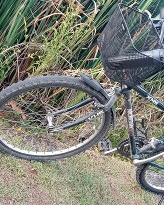 bici mountain bike ruote da 26 telaio p
