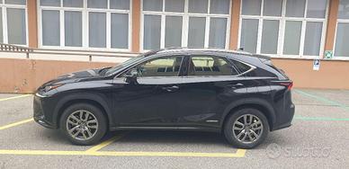 LEXUS - NX - Hybrid 4WD Executive