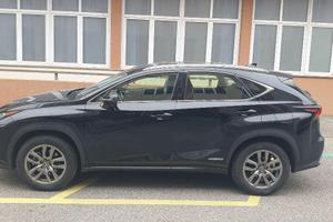 LEXUS - NX - Hybrid 4WD Executive