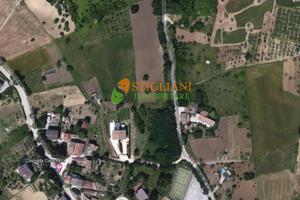 Terreno Agricolo, Contrada Colle Longo - Campob...
