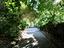 Immagine 26