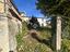 Immagine 15