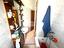Immagine 14