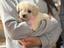 Immagine 14