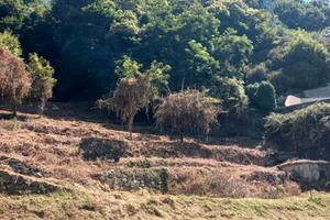 Terreno agricolo