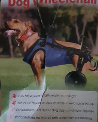carrellino cani piccola taglia