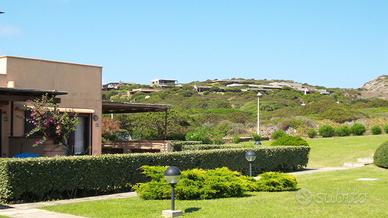 Stintino alla Pelosa- La Pergola 709