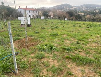 Si affittano porzioni di terreno agricolo di varie