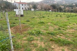 Si affittano porzioni di terreno agricolo di varie