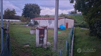 Terreno agricolo 300 mensili