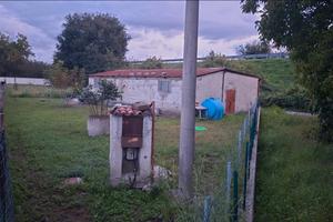 Terreno agricolo 300 mensili