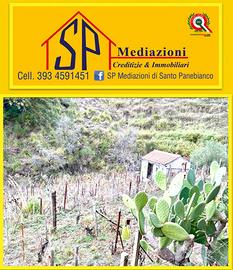 Vigneto con Casotto LOW-COST