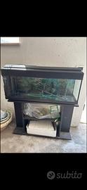 Acquario