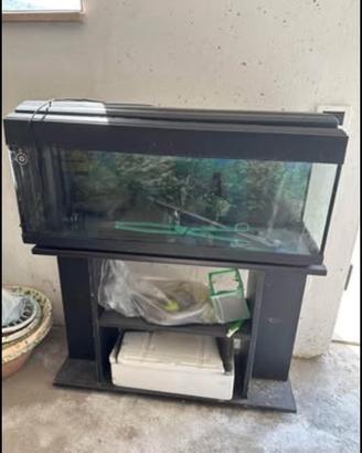 Acquario