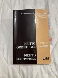 Libro Diritto Commerciale 1, Campobasso, impresa