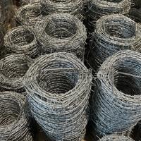 filo spinato  100 mt