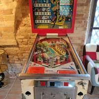  flipper