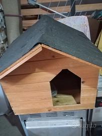 casetta per cane