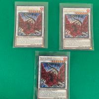 Drago rosa nera ultra (X 3)