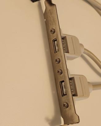 scheda usb
