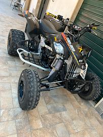 can am ds 450