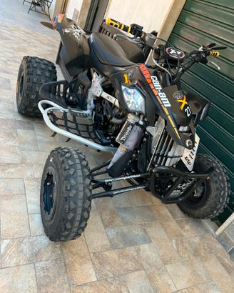 can am ds 450