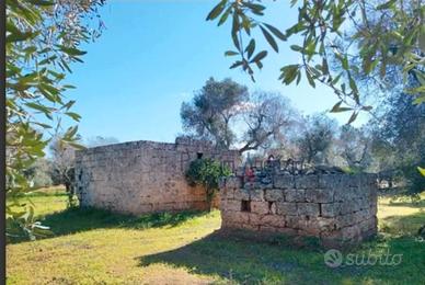 terreno con lamia 8500mq