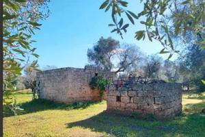 terreno con lamia 8500mq