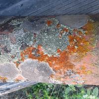 TEGOLE SARDE ANTICHE