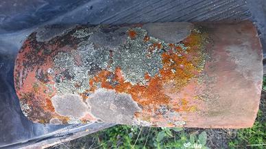 TEGOLE SARDE ANTICHE