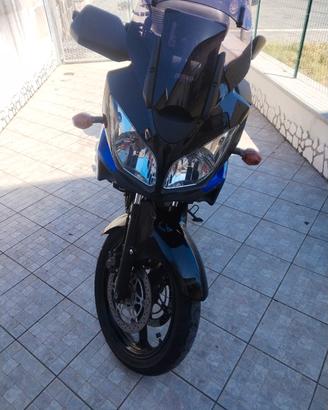 v Strom 650