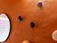 Immagine 23