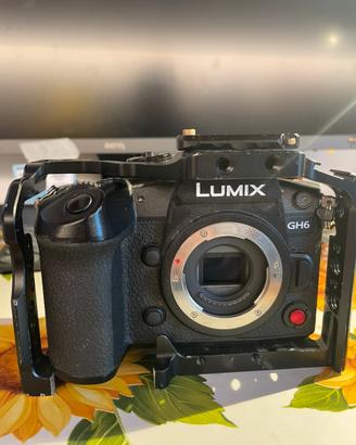 Panasonic lumix gh6