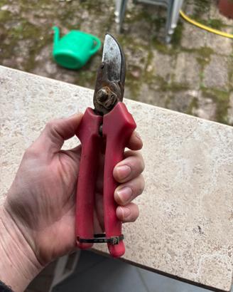 Forbici potatura Honda