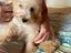 Immagine 1