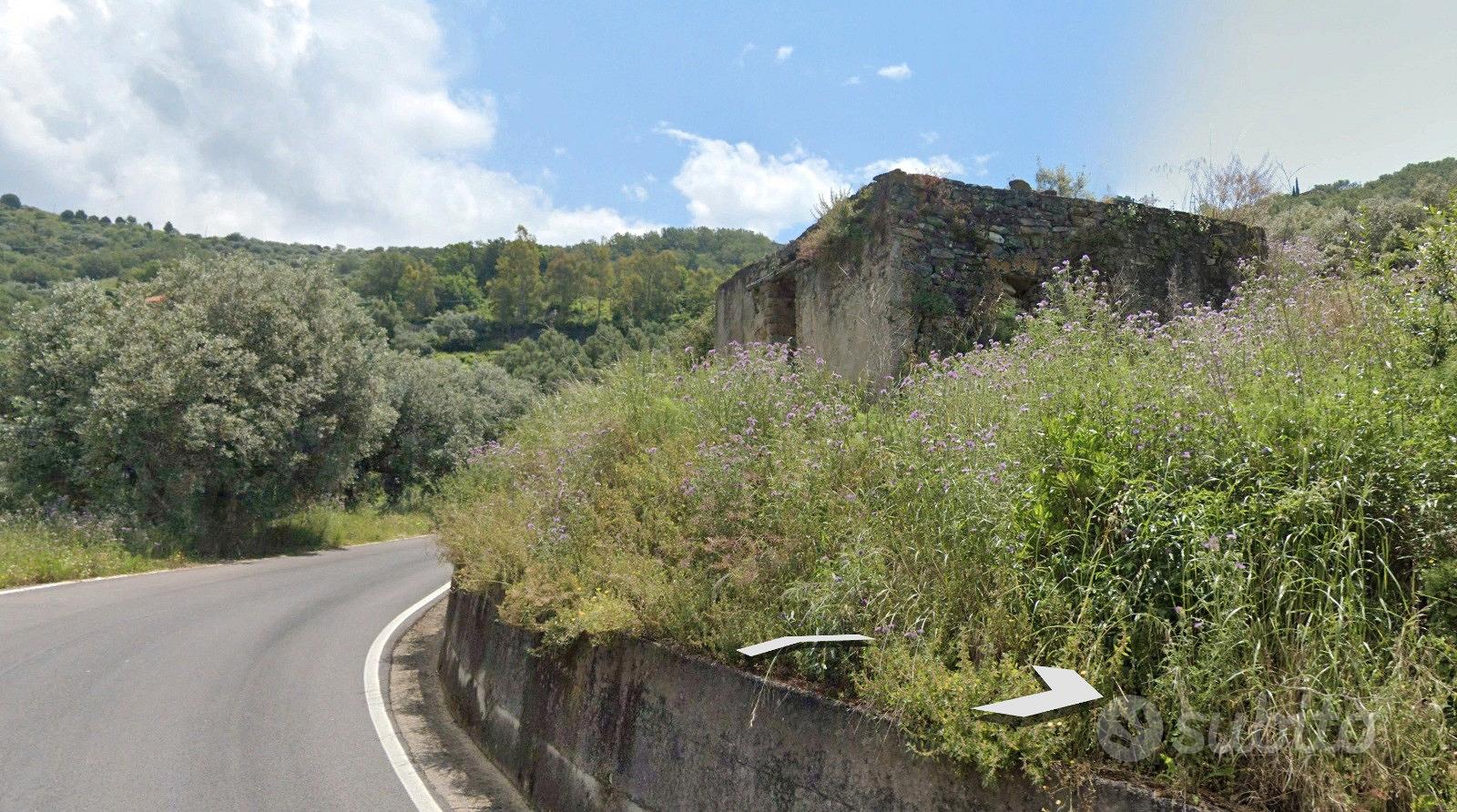 Terreno con uliveto e 2 ruderi vista mare - Vista 4