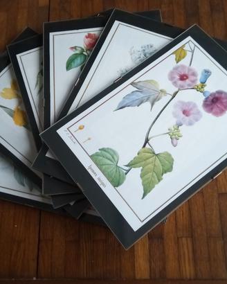 set 6 quadri con fiori 