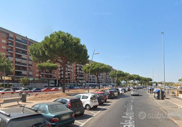 Cinecitta stanza singola ristrutturata