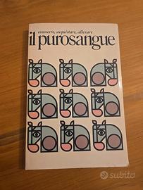 Libro di equitazione cavallo purosangue