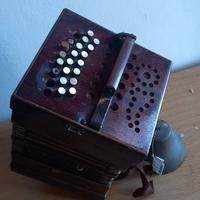fisarmonica concertina 