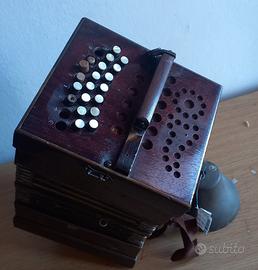 fisarmonica concertina 