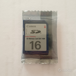 Scheda SD da 16Mb da collezione