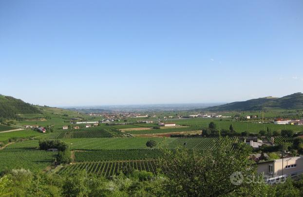 SPLENDIDO TERRENO EDIFICABILE SOLEGGIATO E PANORAM